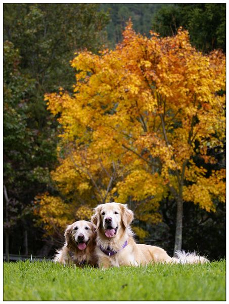 DSC08353.jpg DSC08353.jpg