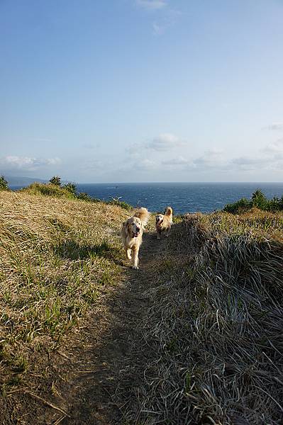 DSC01920.jpg DSC01920.jpg