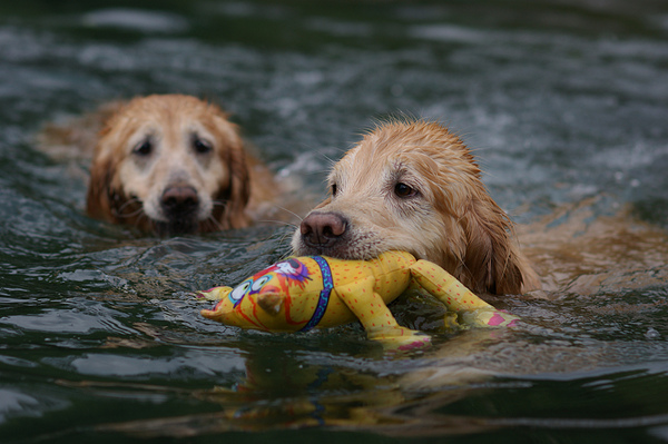 DSC09384.jpg DSC09384.jpg