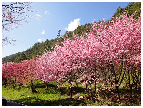 DSC00605.jpg DSC00605.jpg