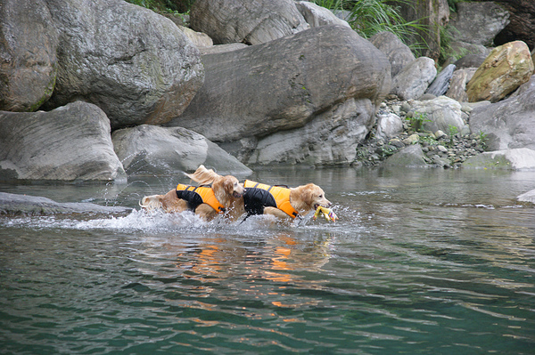 DSC09125.jpg DSC09125.jpg