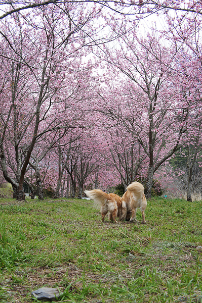 DSC02548.jpg DSC02548.jpg