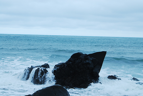 DSC_1824.JPG DSC_1824.JPG