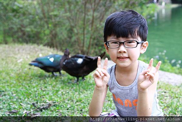 IMG_1583.JPG IMG_1583.JPG