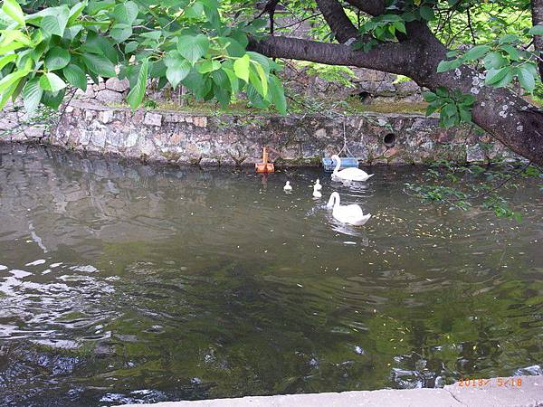 Image00026 Image00026