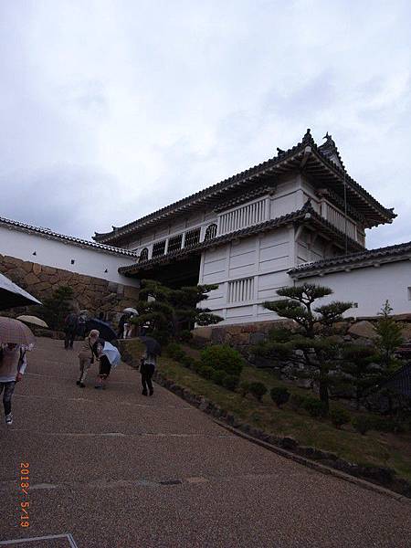 Image00045 Image00045