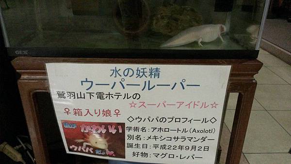 Image00006 Image00006