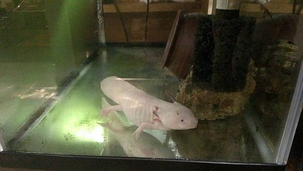 Image00005 Image00005