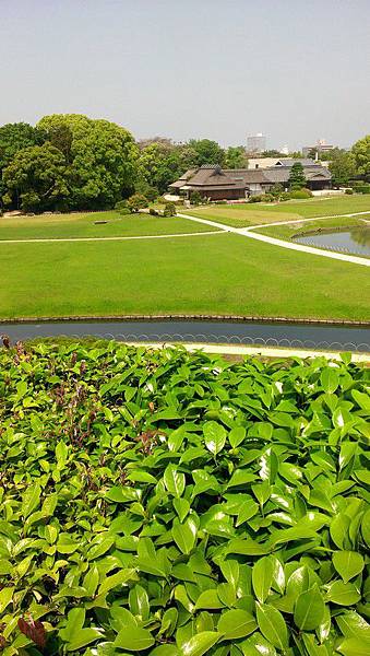 Image00021 Image00021