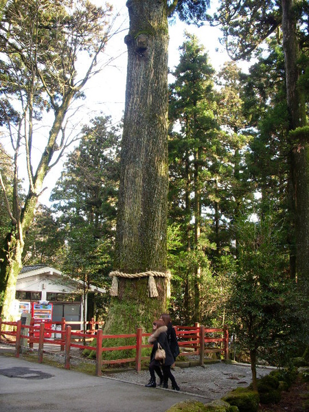 DSCN1863.JPG DSCN1863.JPG