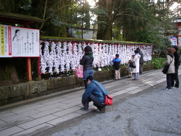 P1230180.JPG P1230180.JPG