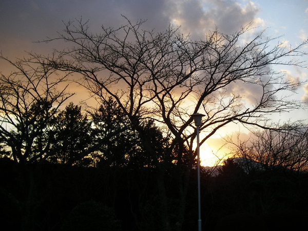 P1230189.JPG P1230189.JPG