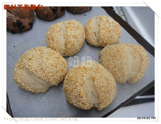 bk-DSC01345 bk-DSC01345