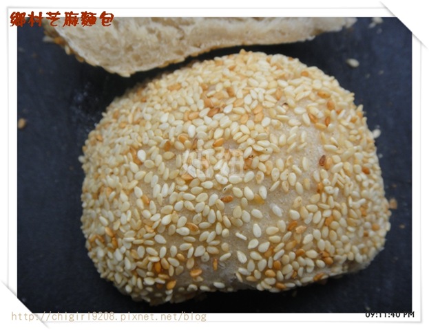 bk-DSC01364 bk-DSC01364