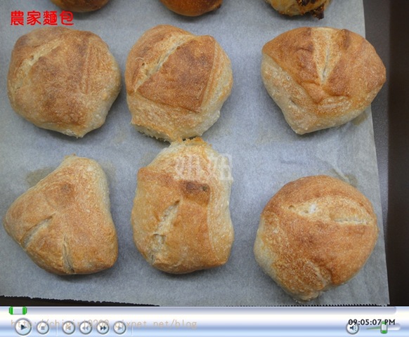 bk-DSC01354 bk-DSC01354