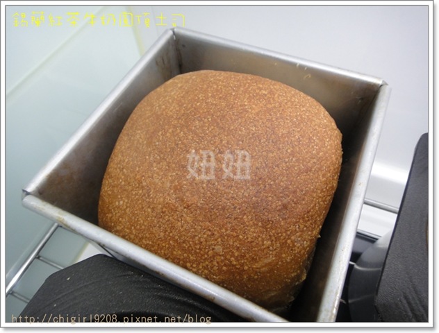 bk-DSC01503 bk-DSC01503