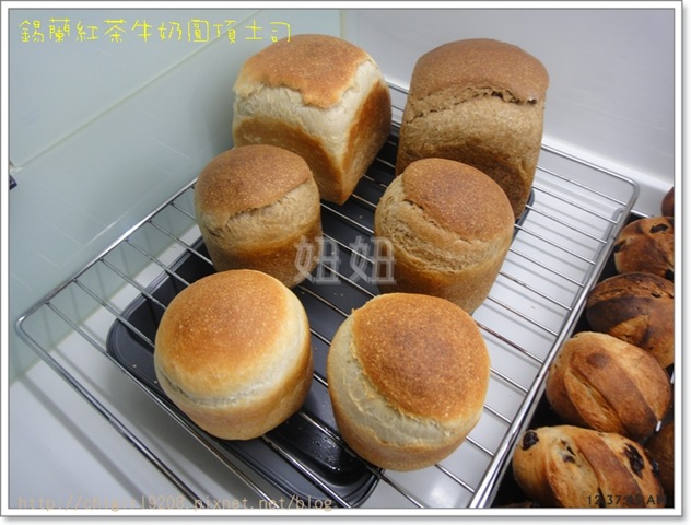 bk-DSC01504 bk-DSC01504