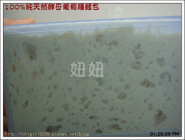 bk-DSC09854 bk-DSC09854