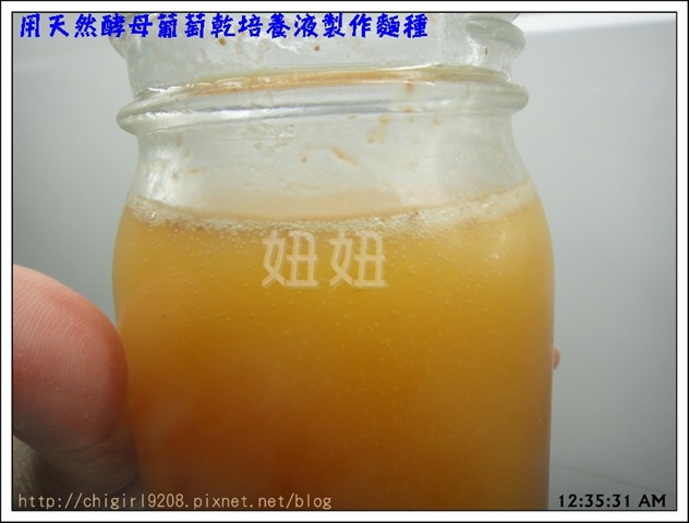 bk-DSC09281 bk-DSC09281