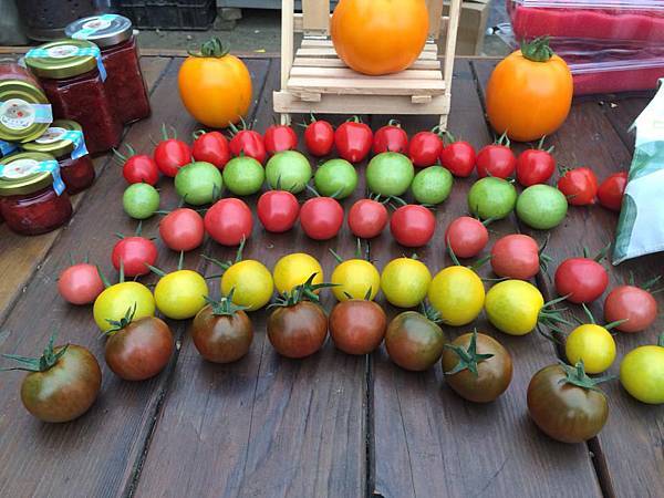 1920452_593663064053936_1945556409_n (1)