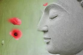 383136_251401621596599_191349070935188_565674_1060731183_n