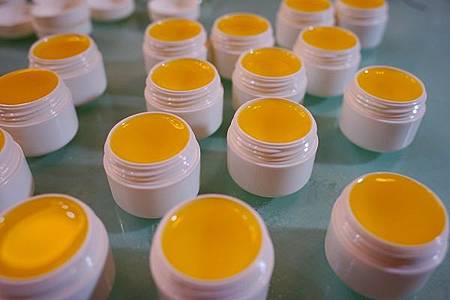 PF-01 DSC00532 PF-01 DSC00532