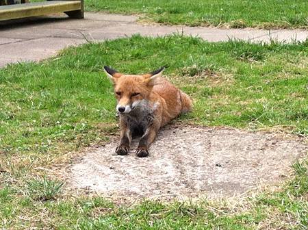 281227_10150268301274368_6448745_n