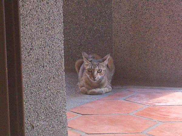 1170649_4753488573433_663225033_n