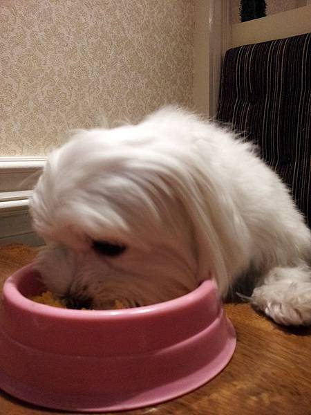 1422350_719459571399697_360395401_n