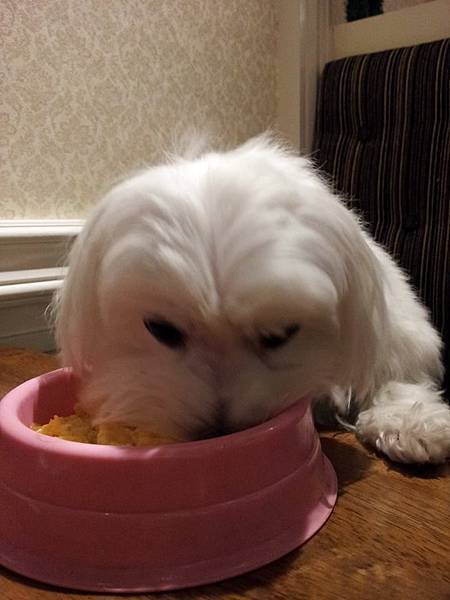 1466292_719459611399693_956454771_n