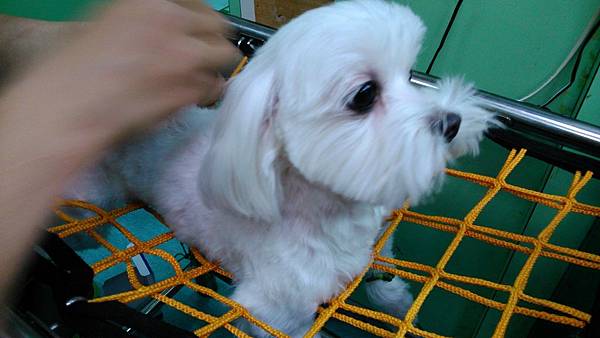 2014-03-14 11.59.32 2014-03-14 11.59.32