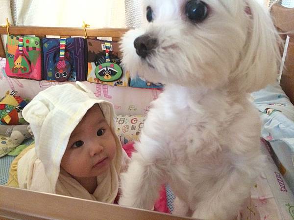 2014-10-10 13.34.46-1