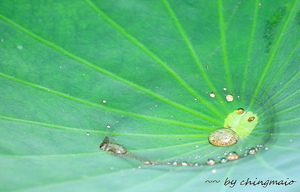 nEO_IMG_DSC_7278.jpg