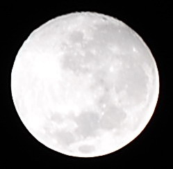 DSC_4081.jpg