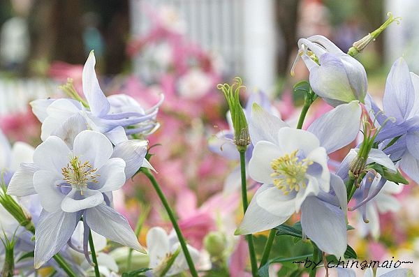 nEO_IMG_DSC_5148.jpg nEO_IMG_DSC_5148.jpg