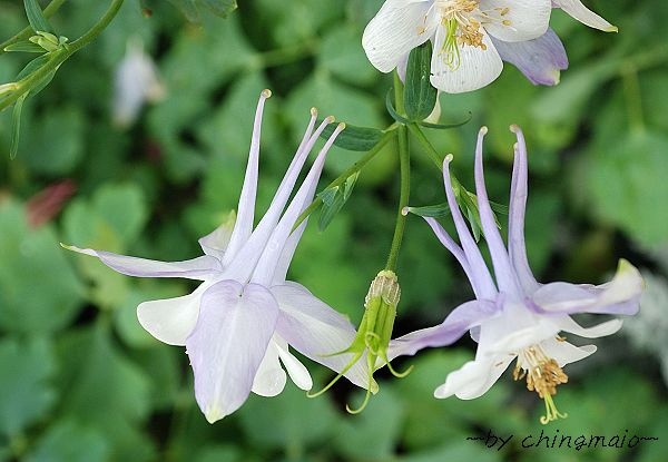 nEO_IMG_DSC_5149.jpg nEO_IMG_DSC_5149.jpg