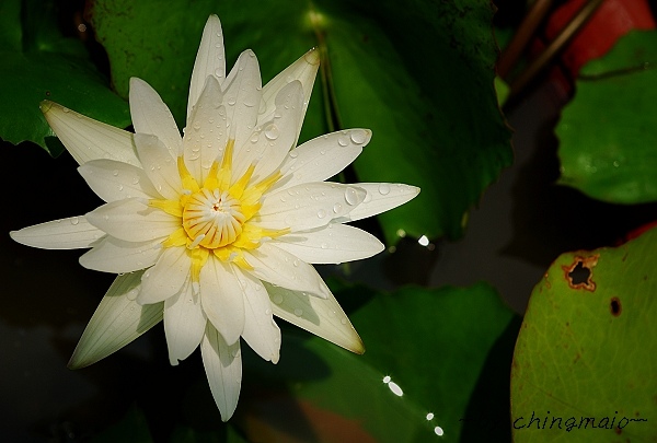 nEO_IMG_DSC_6384-L.jpg