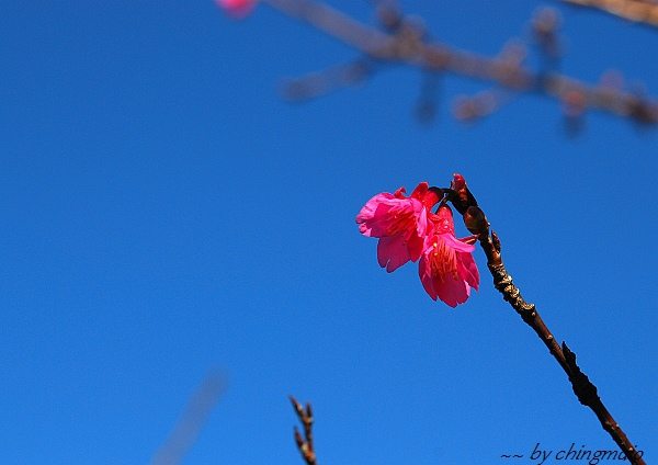 nEO_IMG_DSC_6995.jpg