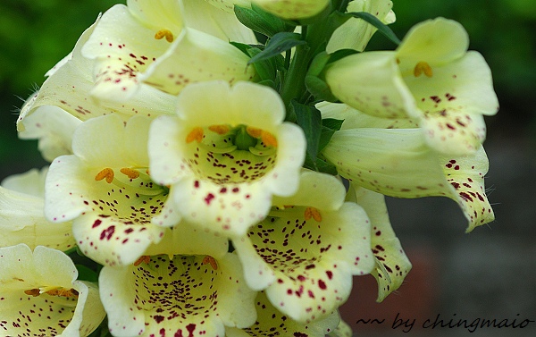 nEO_IMG_DSC_7834.jpg nEO_IMG_DSC_7834.jpg