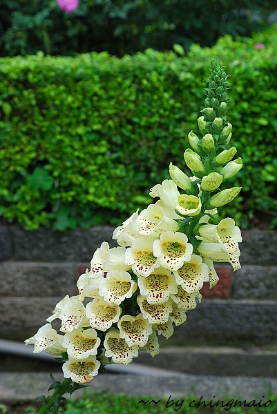 nEO_IMG_DSC_7835.jpg nEO_IMG_DSC_7835.jpg