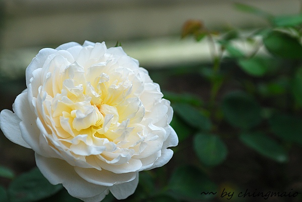 nEO_IMG_DSC_7852.jpg nEO_IMG_DSC_7852.jpg