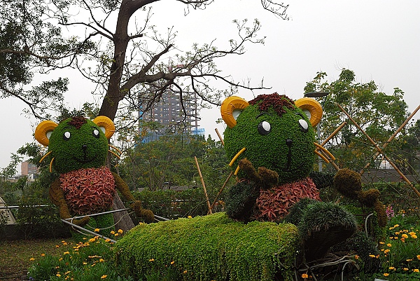 nEO_IMG_DSC_7872.jpg nEO_IMG_DSC_7872.jpg