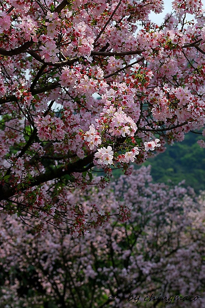 nEO_IMG_DSC_8366.jpg