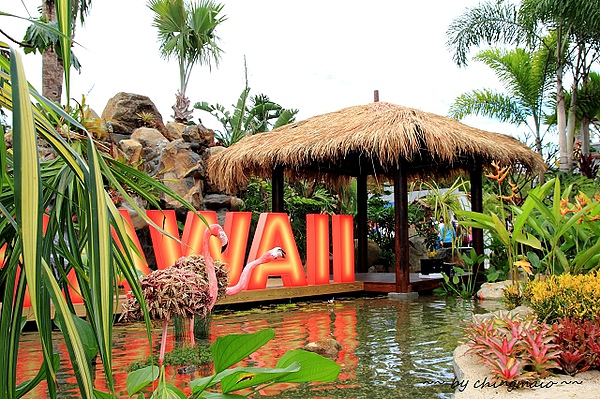 nEO_IMG_IMG_0946.jpg nEO_IMG_IMG_0946.jpg