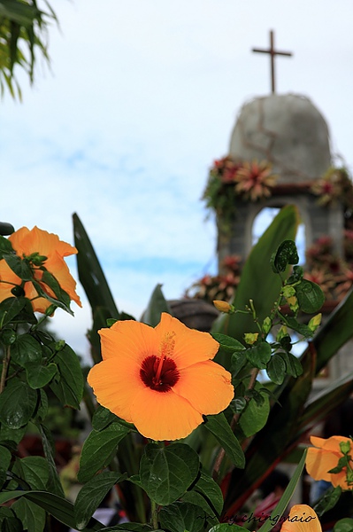 nEO_IMG_IMG_0949.jpg nEO_IMG_IMG_0949.jpg