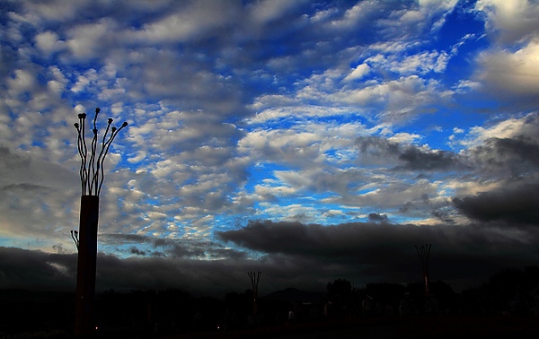 nEO_IMG_IMG_0964.jpg nEO_IMG_IMG_0964.jpg