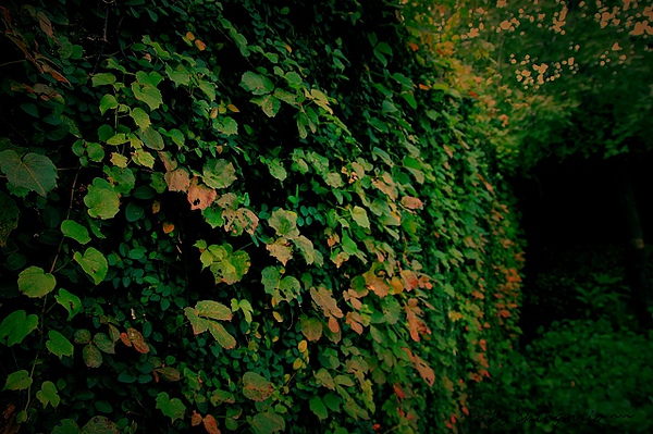 nEO_IMG_IMG_0960.jpg nEO_IMG_IMG_0960.jpg