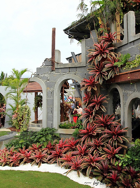 nEO_IMG_IMG_0941.jpg nEO_IMG_IMG_0941.jpg