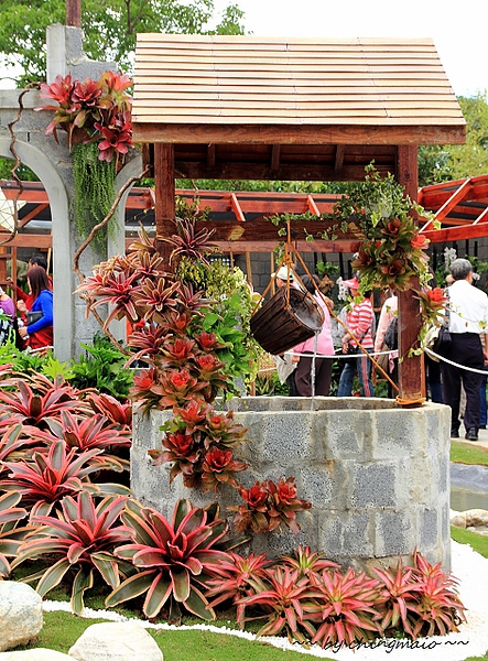 nEO_IMG_IMG_0951.jpg nEO_IMG_IMG_0951.jpg