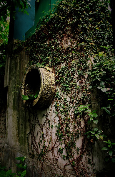 nEO_IMG_IMG_0957.jpg nEO_IMG_IMG_0957.jpg